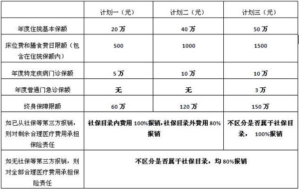恒安标准守护无忧保险产品介绍